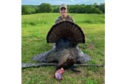 wireready_04-11-2025-12-06-02_00016_turkeyhunter