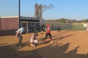 wireready_04-12-2025-12-58-16_00007_gainesvillesoftball4825