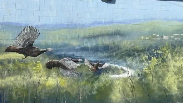 wireready_04-16-2025-10-32-04_00027_yellvillemural2