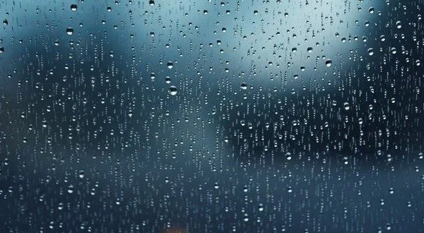 wireready_04-19-2025-13-48-04_00056_rain