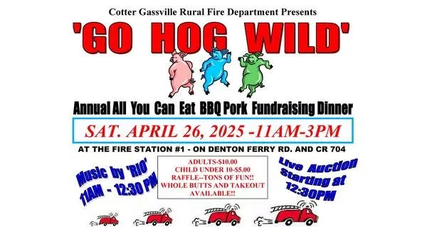 gohogwildbbq25