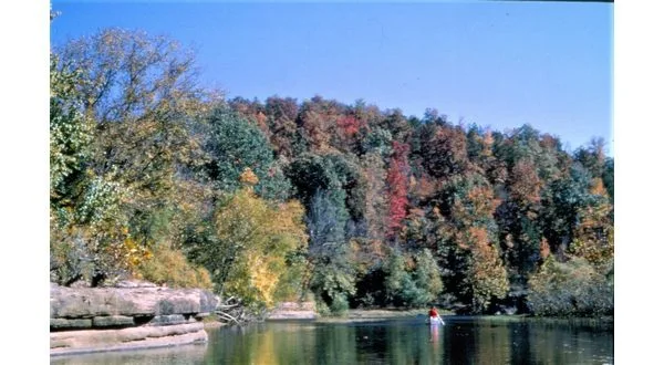 wireready_05-08-2025-11-46-04_00054_canoeonbuffalo