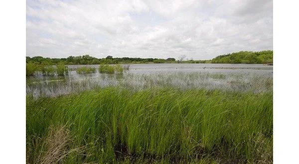 wireready_05-15-2025-11-38-04_00099_wetlands2