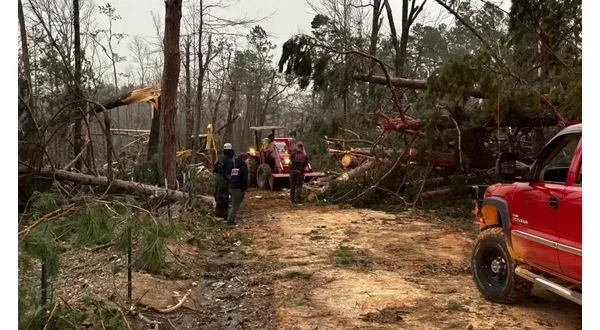 wireready_05-18-2025-10-22-04_00187_izardoem1