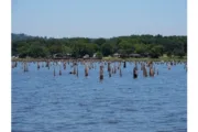 wireready_05-22-2025-13-52-03_00147_lakestumps