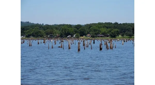 wireready_05-22-2025-13-52-03_00147_lakestumps