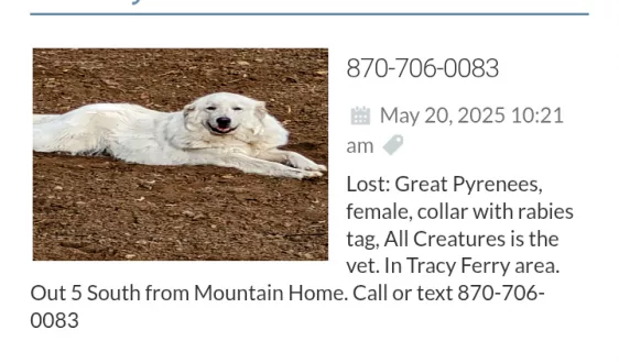 screenshot_20250520-1955422-2