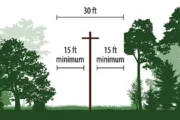wireready_06-01-2025-11-34-14_00531_naectrees