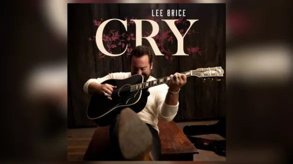 m_leebricecrycurbrecords713117