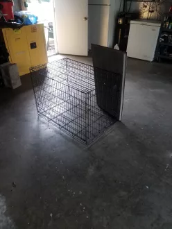 dog-crate-8