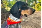 wireready_06-13-2025-10-24-04_00864_houndhikebandana