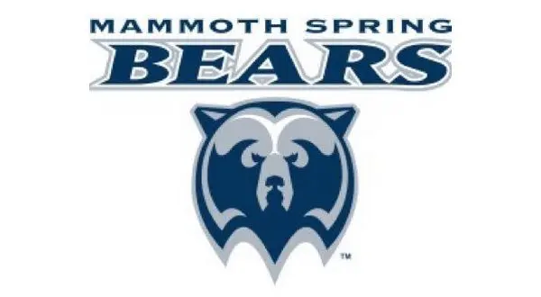 mammothspringbears