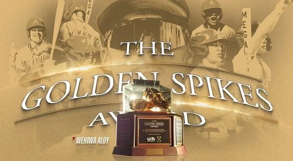wireready_06-23-2025-16-04-03_00914_goldenspikesaward
