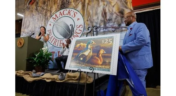 wireready_07-05-2025-10-38-24_01405_duckstamp