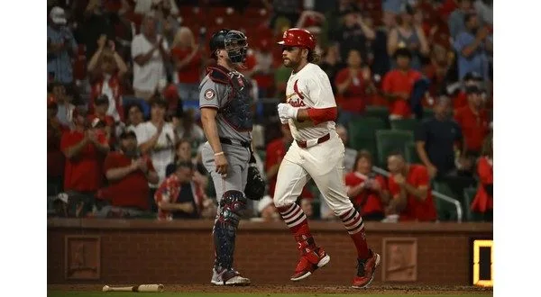 wireready_07-09-2025-11-16-03_01342_cardinals070925