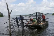 wireready_07-13-2025-10-12-09_01569_fishattractors