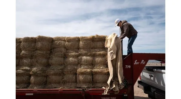 wireready_07-21-2025-12-48-05_01722_medicaidfarmer