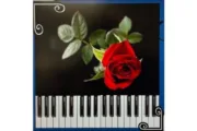wireready_07-26-2025-10-32-04_01907_squarepiano