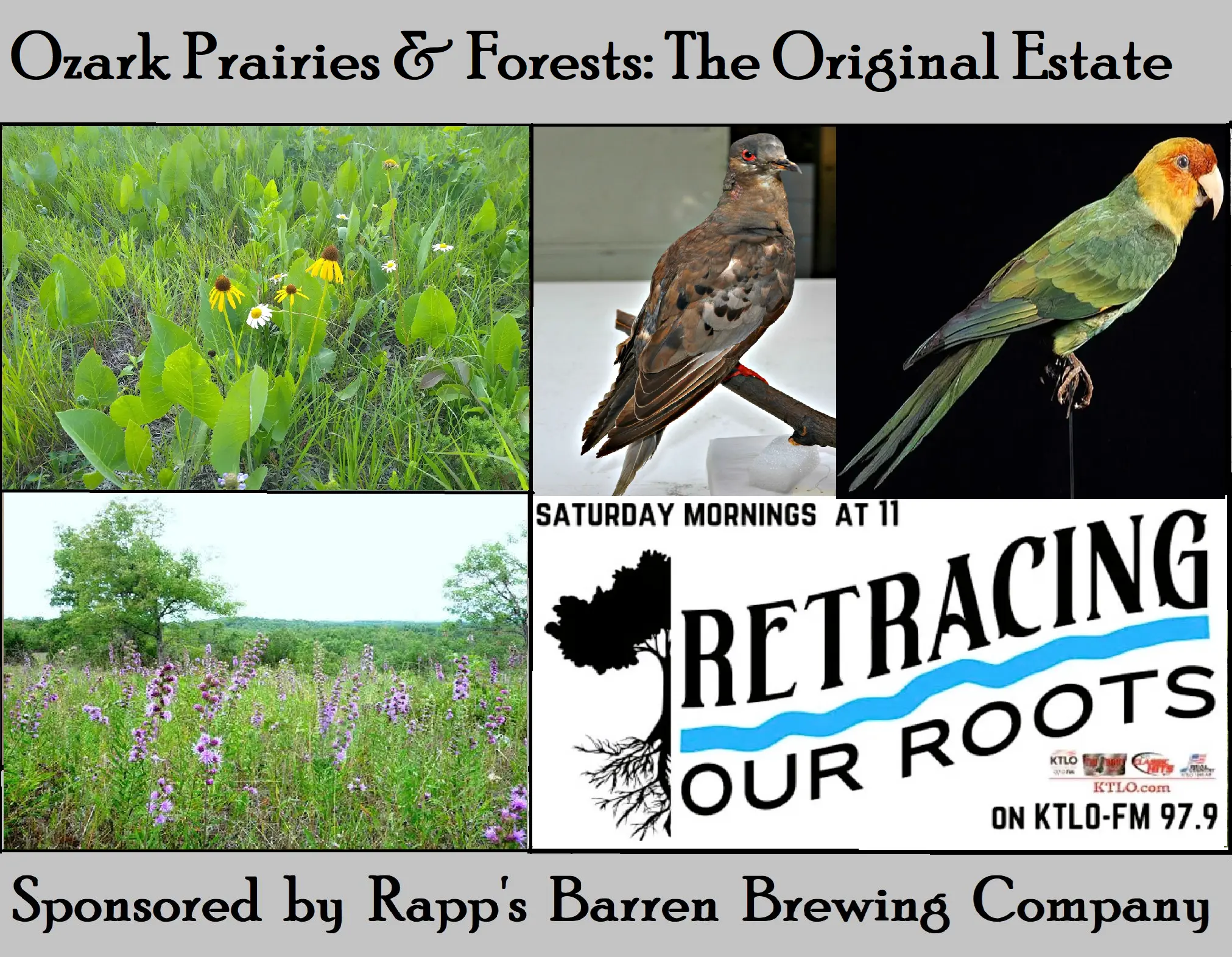 ror-ozark-prairies-and-forests-the-original-estate