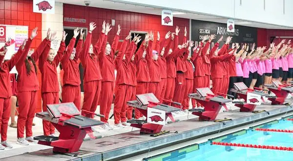 wireready_08-23-2025-13-08-04_02619_razorbackswimdive
