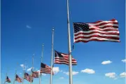 wireready_09-11-2025-18-10-06_02870_halfmassflags