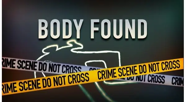 wireready_09-17-2025-15-44-04_03198_bodyfoundstock