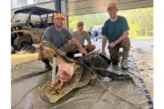 wireready_09-24-2025-09-36-04_03365_alligator092325