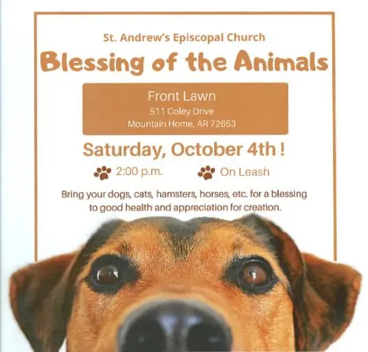 blessingofanimals