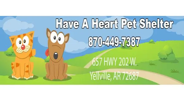 wireready_10-01-2025-10-06-04_03502_haveaheartshelter