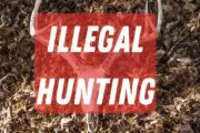 wireready_10-14-2025-10-20-37_02823_illegalhunting