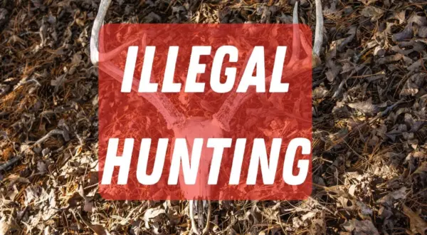 wireready_10-14-2025-10-20-37_02823_illegalhunting