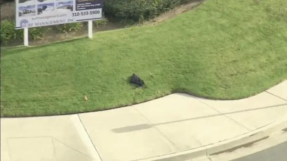 kabc-bomb-1014212693
