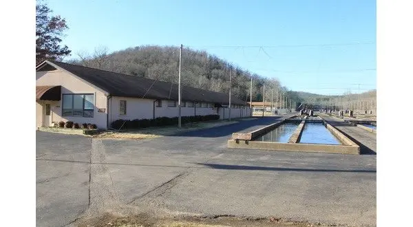 wireready_10-16-2025-17-04-04_02904_agfc101625