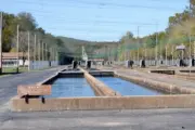 wireready_10-20-2025-10-16-05_04010_fishhatchery