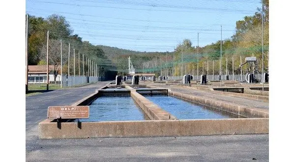 wireready_10-20-2025-10-16-05_04010_fishhatchery