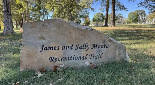 wireready_10-29-2025-10-22-31_04229_trailasumh