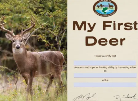 wireready_10-30-2025-10-22-11_04253_agfc1028252