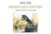 wireready_11-06-2025-11-30-37_04468_duckstamp