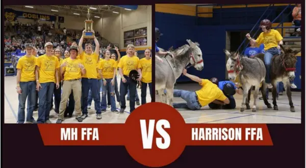 wireready_11-06-2025-11-30-45_04473_donkeybasketball