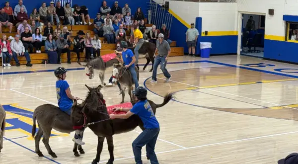 wireready_11-07-2025-11-30-57_04204_donkeyball