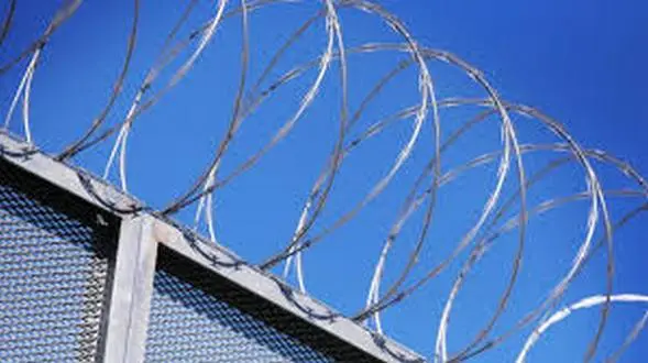 wireready_11-12-2025-21-40-15_03139_prisonwire