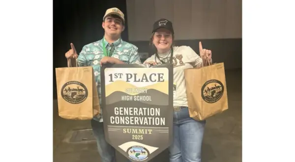 wireready_11-17-2025-11-21-01_04686_stem