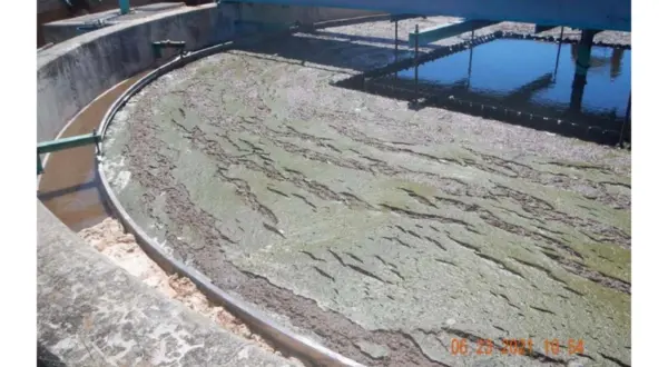 wireready_11-19-2025-14-20-06_04714_regional111925