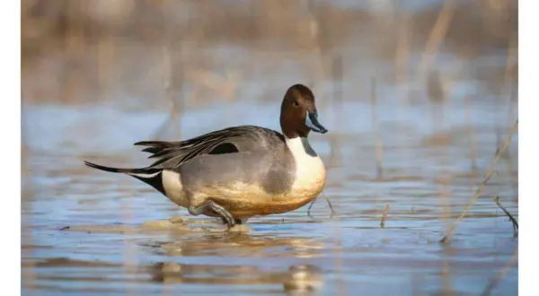 wireready_11-22-2025-11-30-23_04816_agfc112125