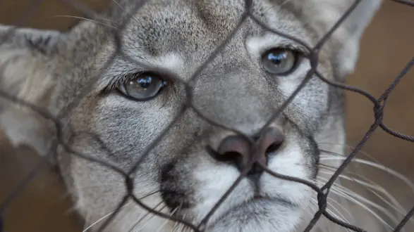 untitled20design20289129973043