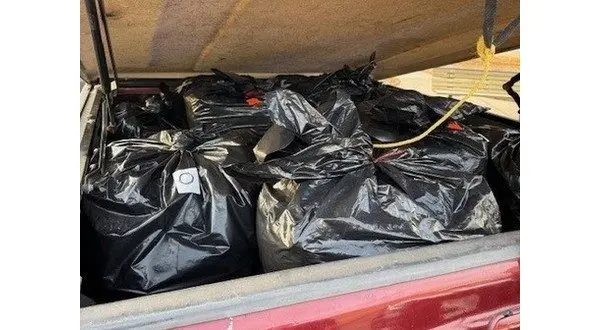 wireready_11-26-2025-20-50-07_04389_221lbsbust