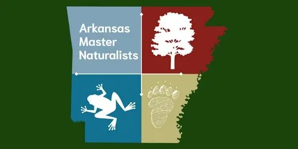 masternaturalistlogo