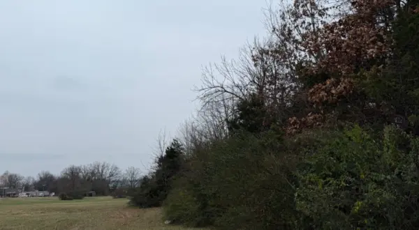 wireready_12-03-2025-11-20-48_05028_novweather