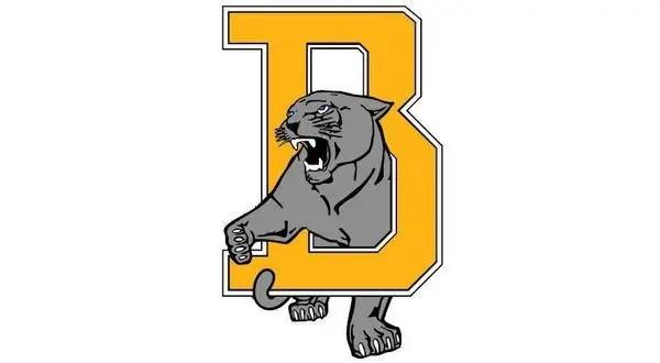 wireready_12-04-2025-12-20-05_04480_bergmanpanthers