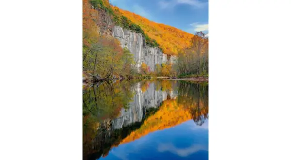 wireready_12-08-2025-11-30-08_05146_timernstphoto